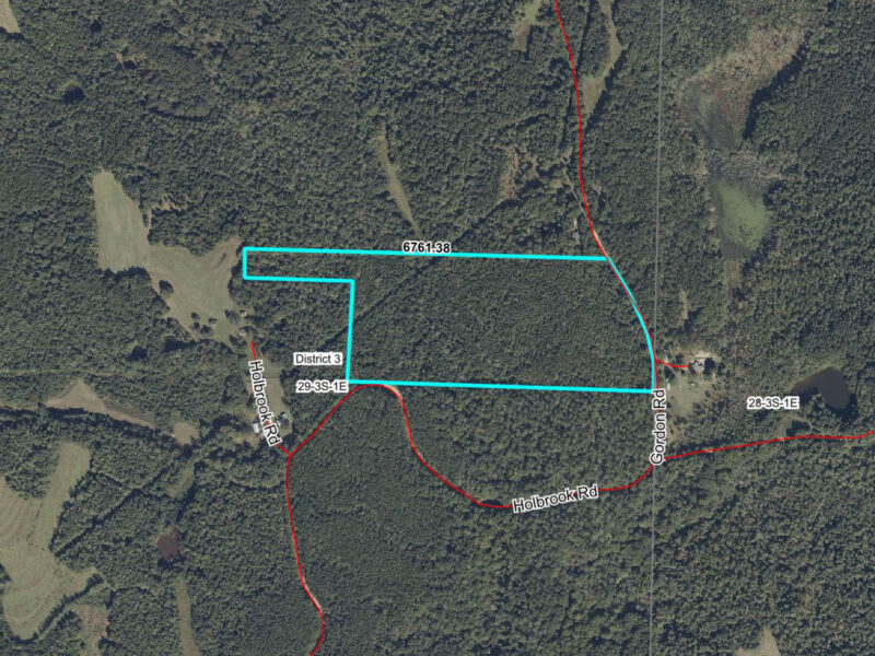 40 Acre Timber Tract