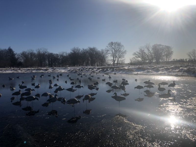 Central Nebraska’s Premier Hunting on the Platte River