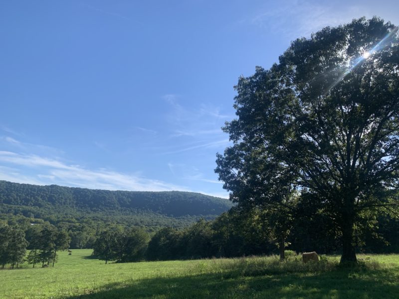 48 ACRE FARM, CREEK, CAPTIVATING VIEWS