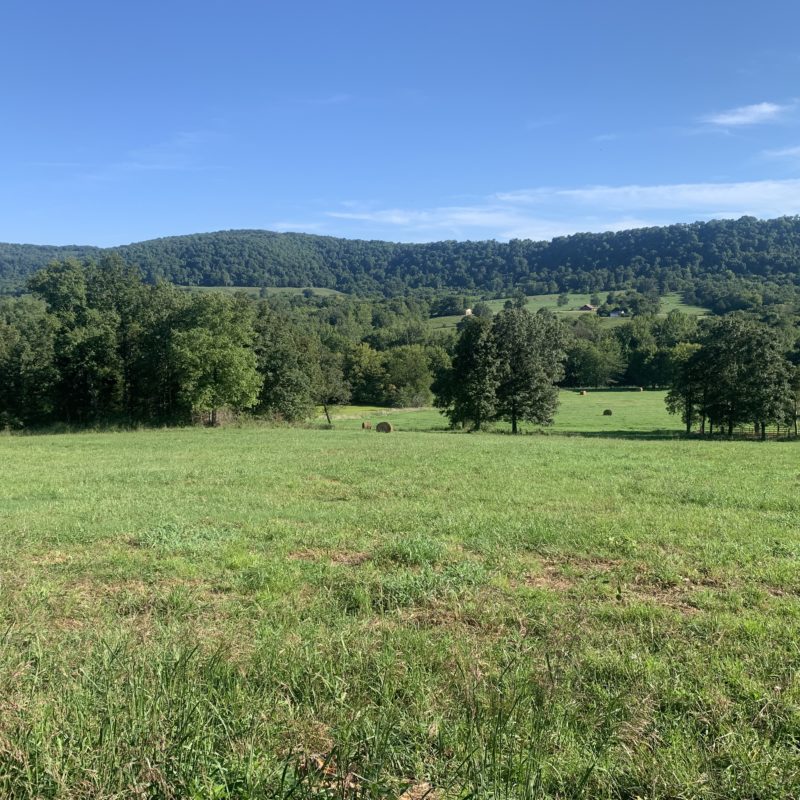 48 ACRE FARM, CREEK, CAPTIVATING VIEWS Outdoor Properties