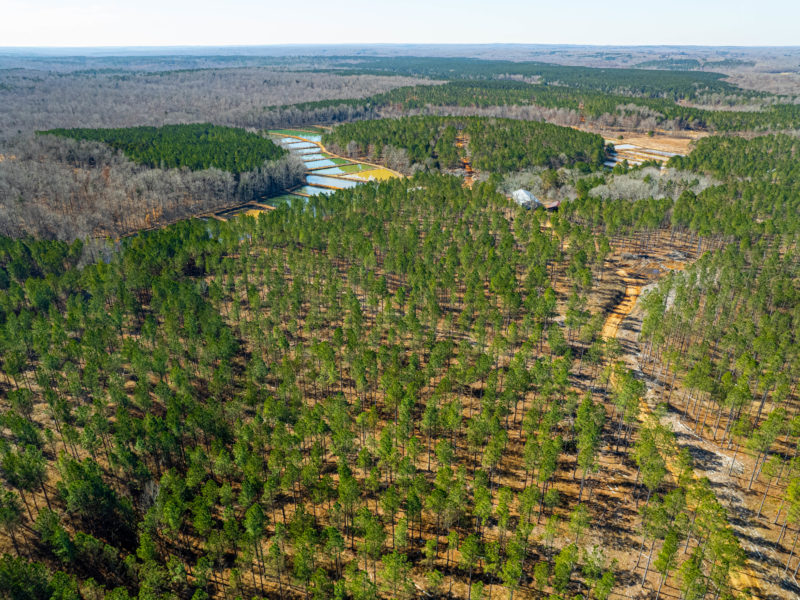 Sain Road Lakes – 425 +/- Acre Sportsman’s Retreat with 42 Ponds Near Bolivar, TN