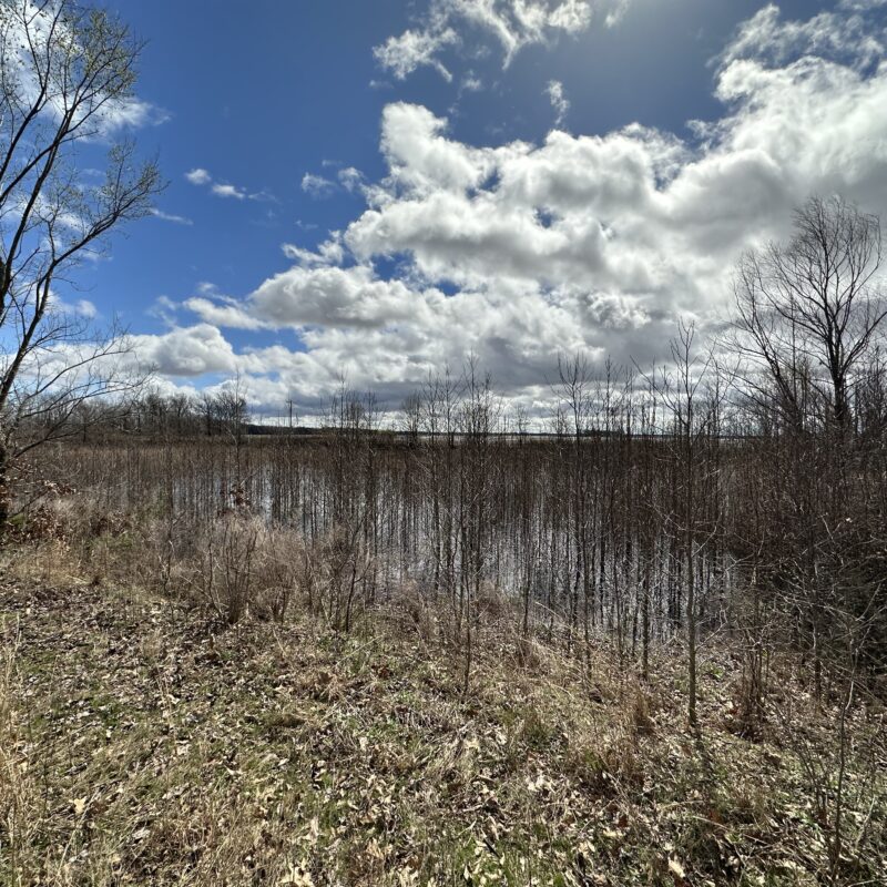 Waldenburg 40 Outdoor Properties