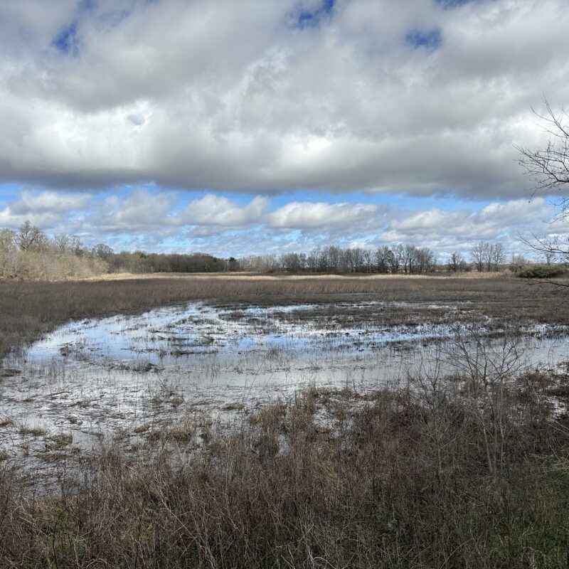 Waldenburg 40 Outdoor Properties