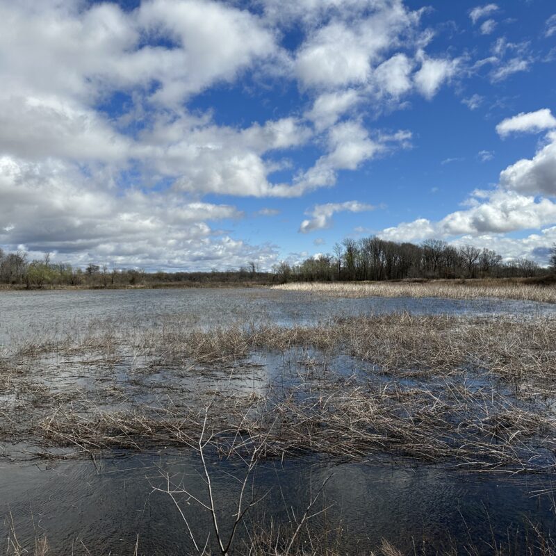 Waldenburg 40 Outdoor Properties