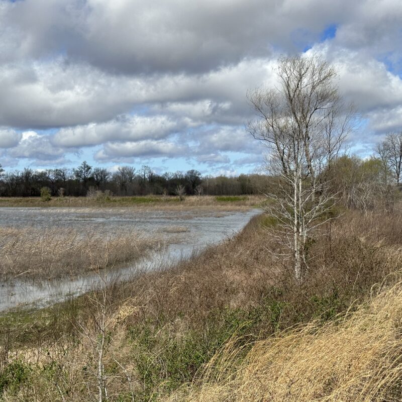 Waldenburg 40 Outdoor Properties