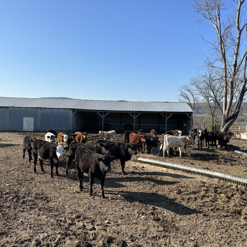 Cajun Creek Ranch - Outdoor Properties