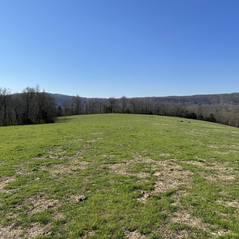 CAJUN CREEK RANCH - Outdoor Properties