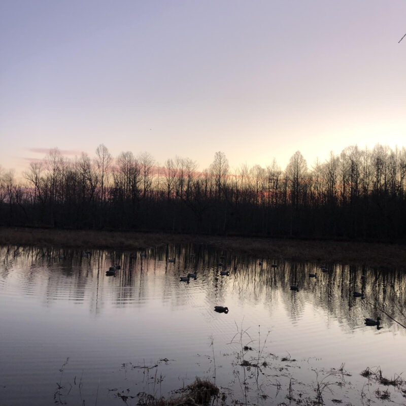 Fully Developed Waterfowl Property in Haywood County, TN 248