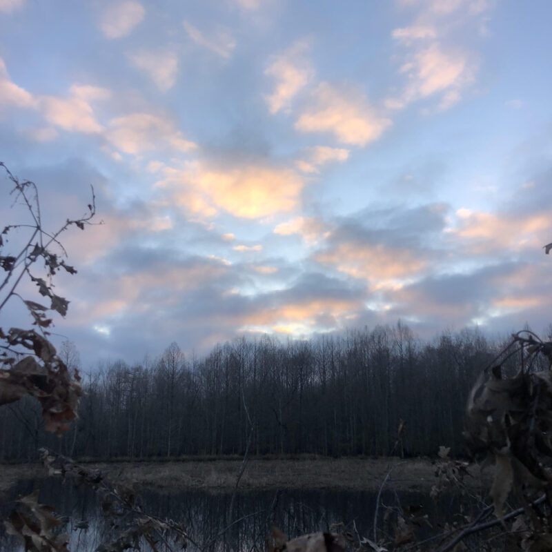 Fully Developed Waterfowl Property in Haywood County, TN 248