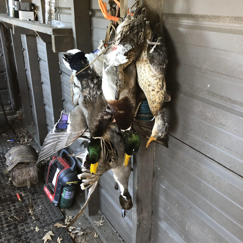 Fully Developed Waterfowl Property in Haywood County, TN 248