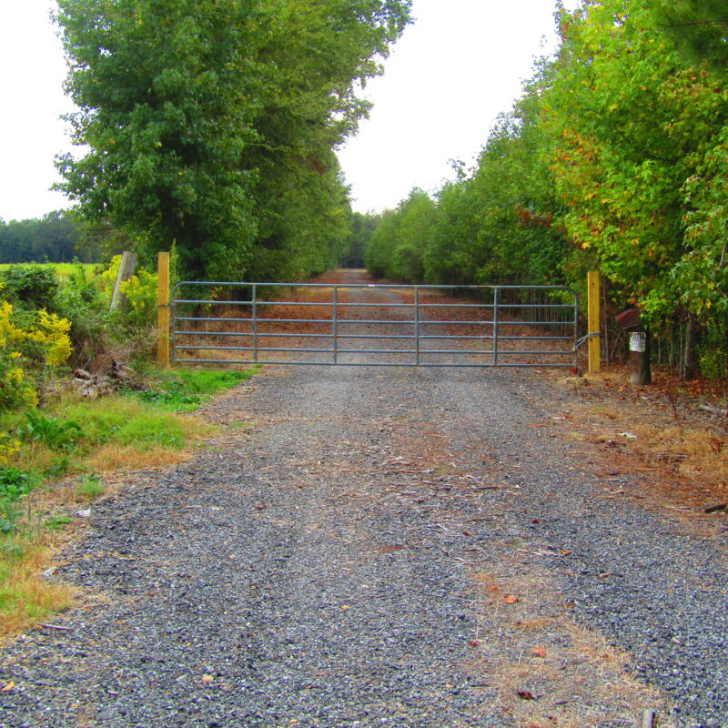 Fully Developed Waterfowl Property in Haywood County, TN 248