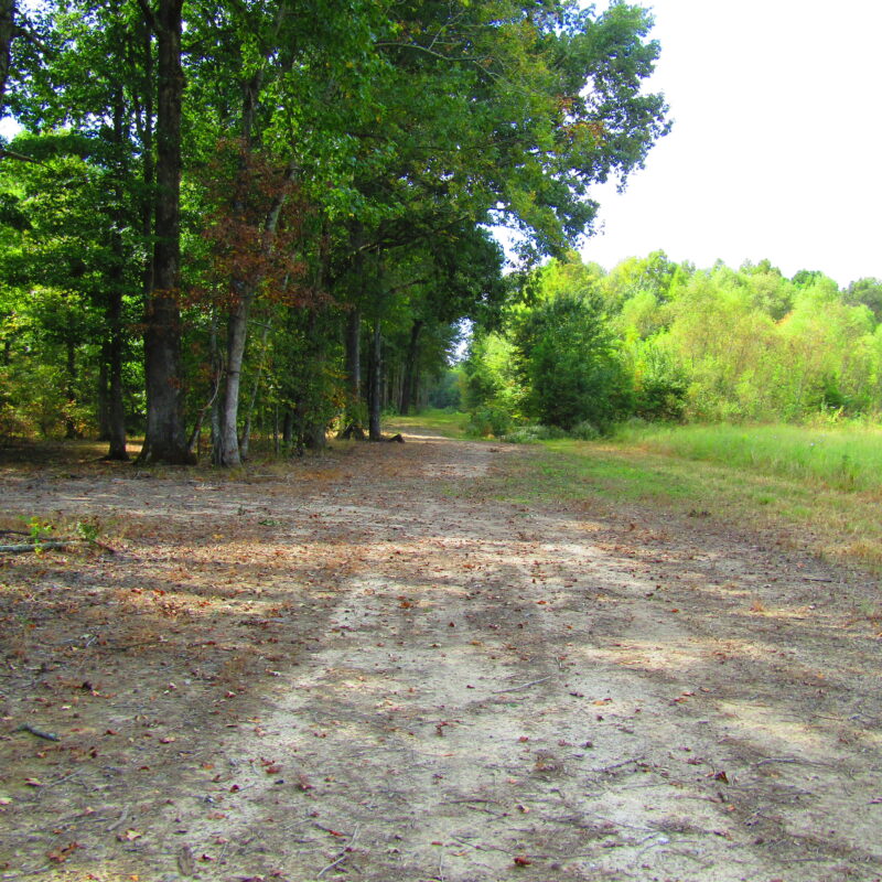 Fully Developed Waterfowl Property in Haywood County, TN 248