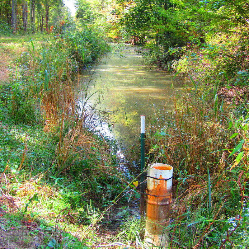 Fully Developed Waterfowl Property in Haywood County, TN 248