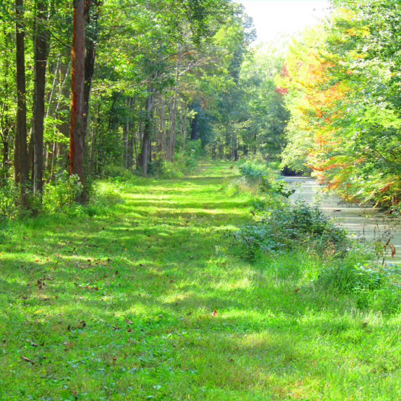 Fully Developed Waterfowl Property in Haywood County, TN 248