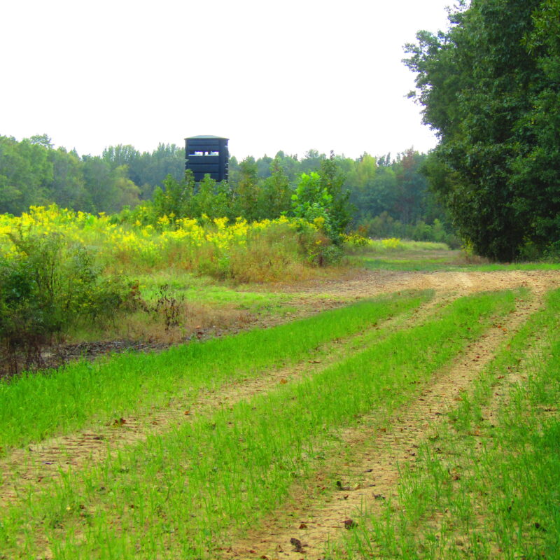 Fully Developed Waterfowl Property in Haywood County, TN 248