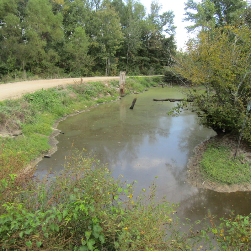 Fully Developed Waterfowl Property in Haywood County, TN 248