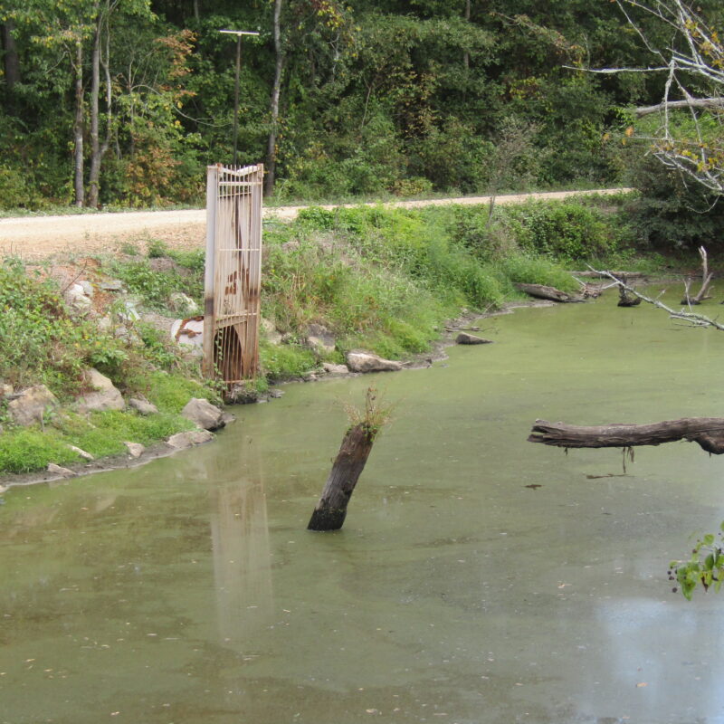 Fully Developed Waterfowl Property in Haywood County, TN 248