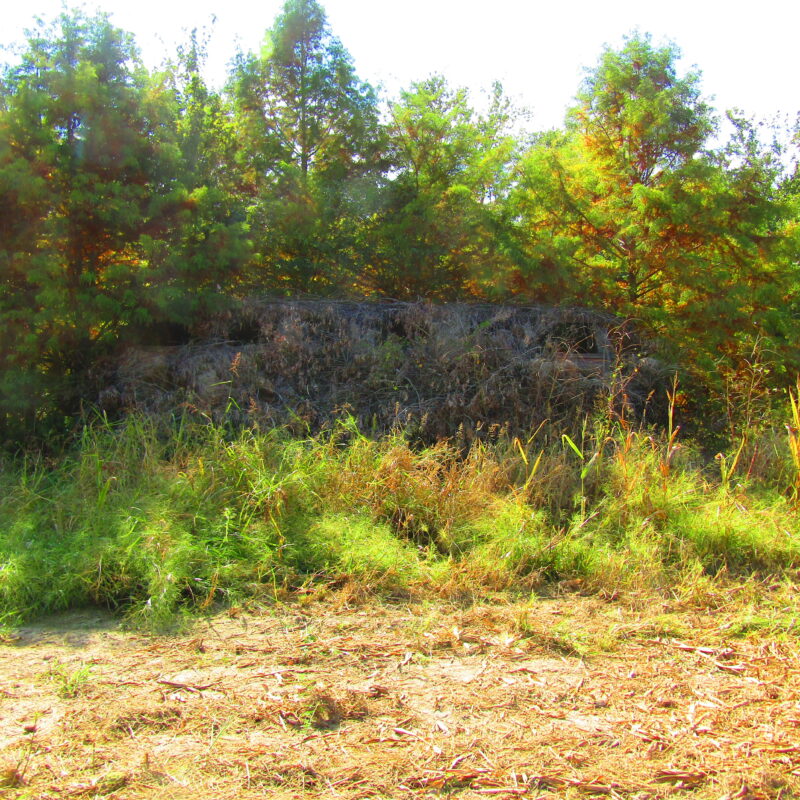 Fully Developed Waterfowl Property in Haywood County, TN 248