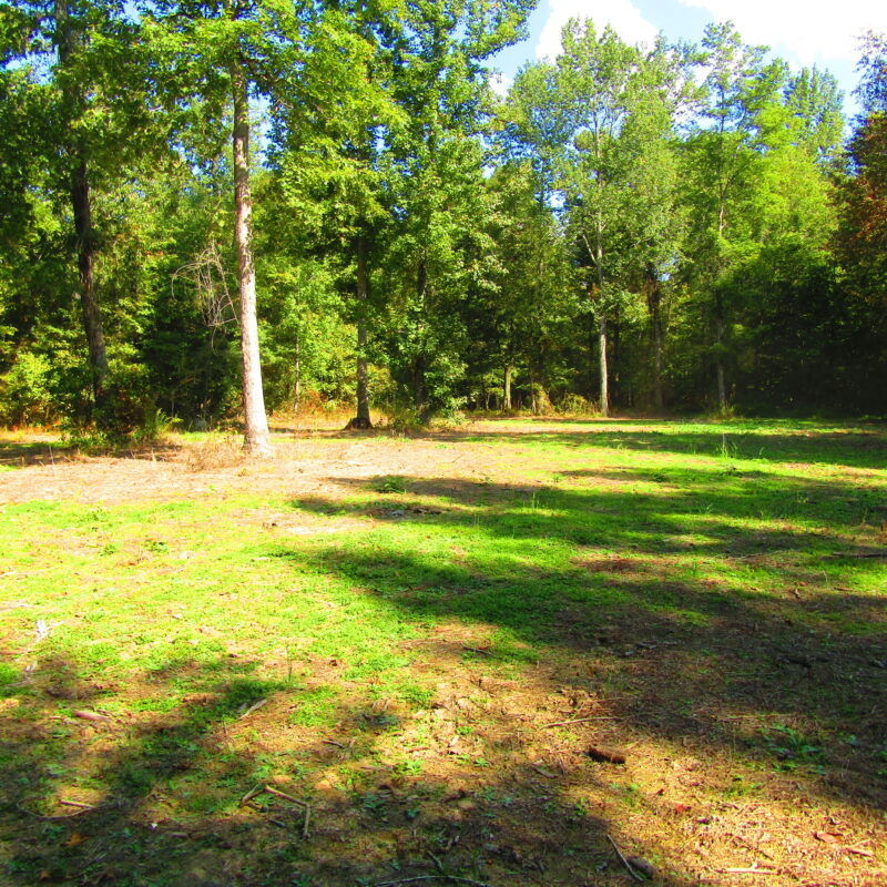 Fully Developed Waterfowl Property in Haywood County, TN 248