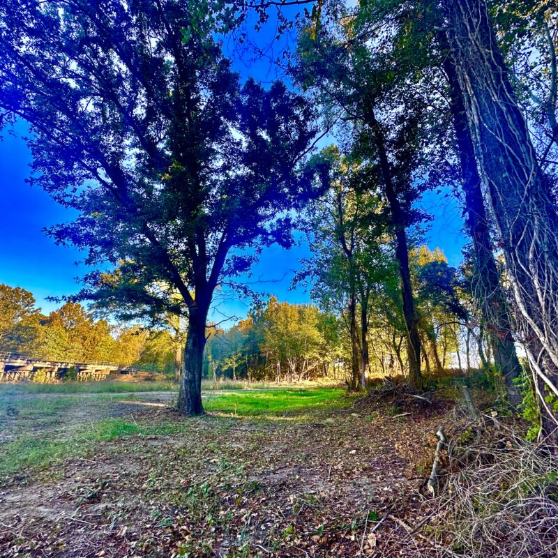 Hunting Club Membership at Wolf River 3 Lakes in Memphis, TN. Hunt