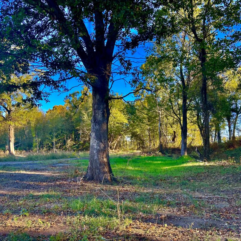 Hunting Club Membership at Wolf River 3 Lakes in Memphis, TN. Hunt
