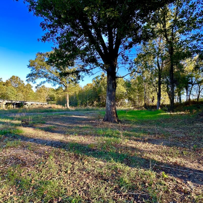 Membership Share at Wolf River 3 Lakes in Memphis, TN Flooded Green