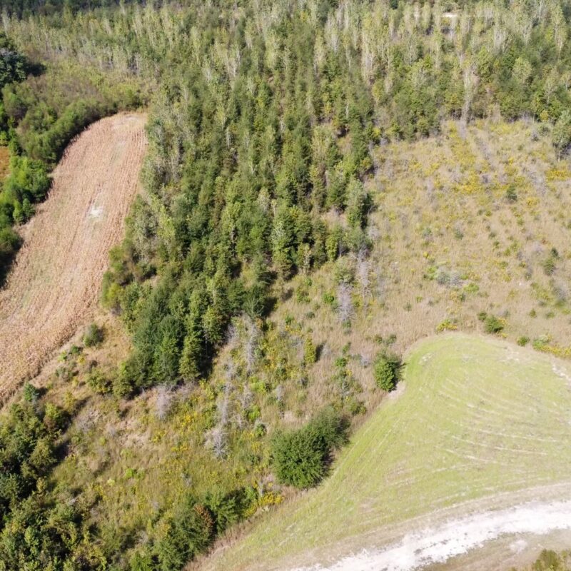 Fully Developed Waterfowl Property in Haywood County, TN 248