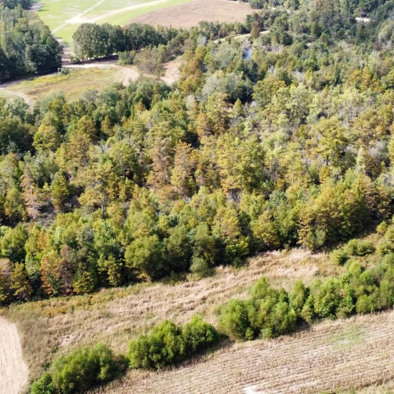 Fully Developed Waterfowl Property in Haywood County, TN 248