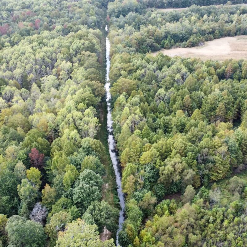 Fully Developed Waterfowl Property in Haywood County, TN 248