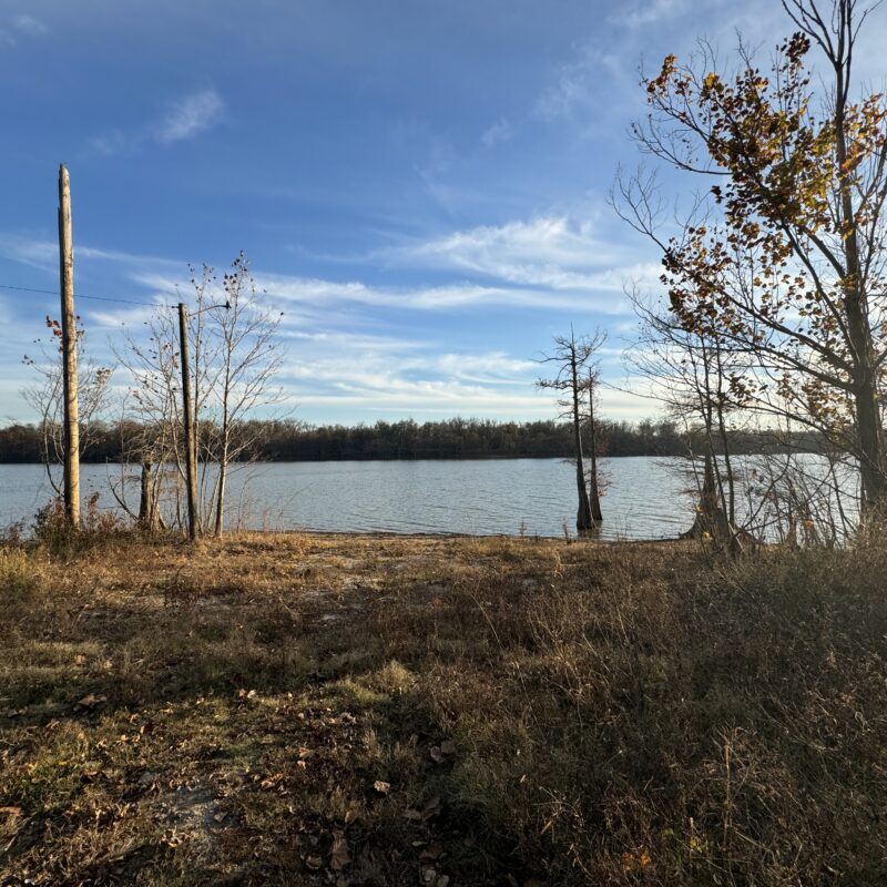 Two Waterfront Lots For Sale At Moon Lake Ms 125000 Per Lot