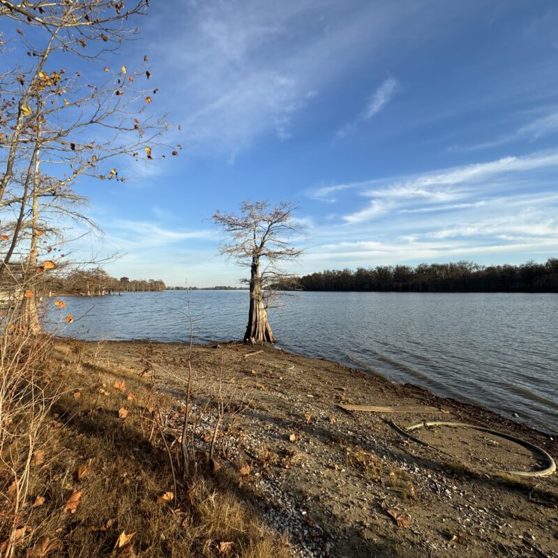 Two Waterfront Lots for Sale at Moon Lake, MS 125,000 per Lot