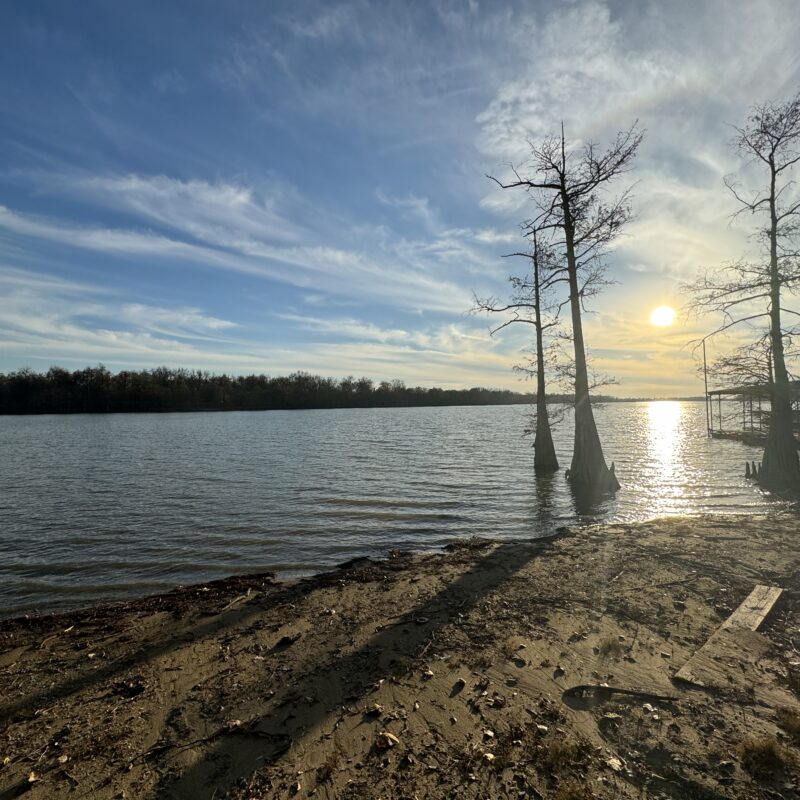 Two Waterfront Lots for Sale at Moon Lake, MS 125,000 per Lot
