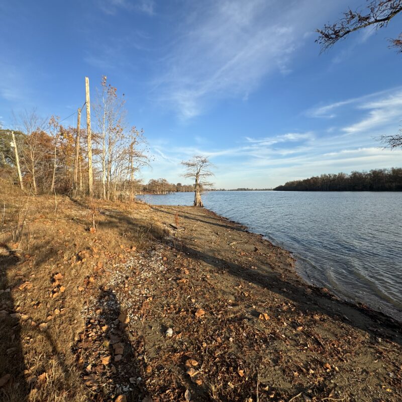 Two Waterfront Lots for Sale at Moon Lake, MS 125,000 per Lot