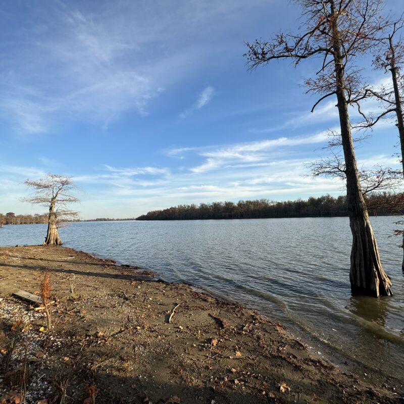 Two Waterfront Lots for Sale at Moon Lake, MS 125,000 per Lot