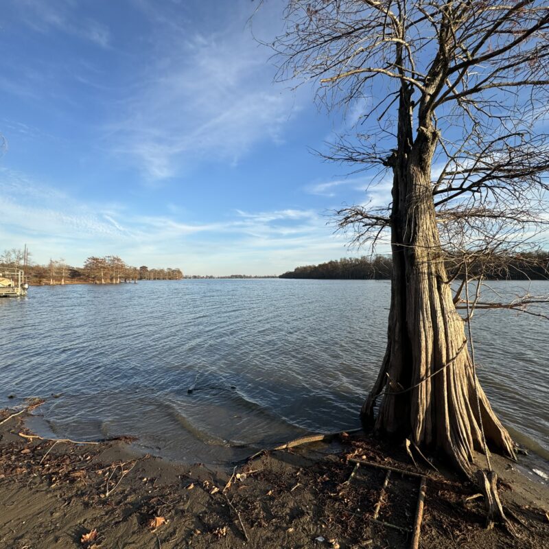 Two Waterfront Lots for Sale at Moon Lake, MS 125,000 per Lot