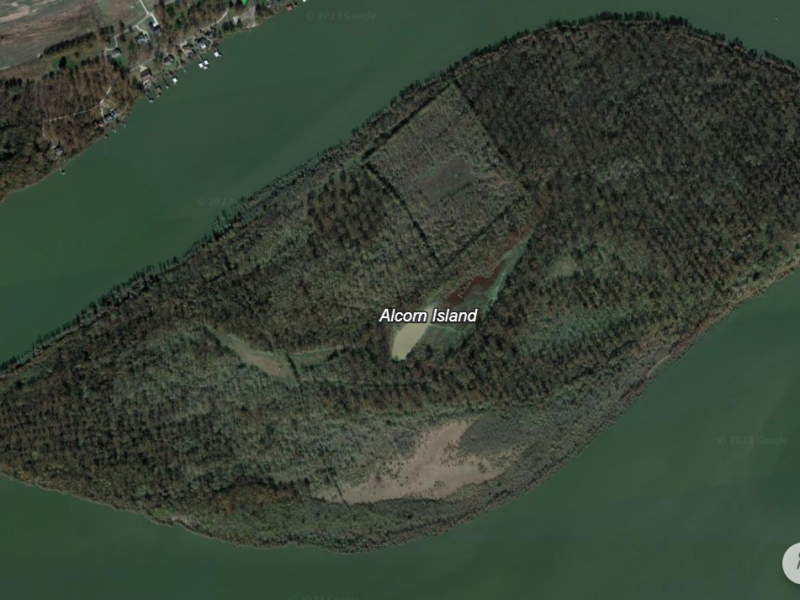 Own Your Own Private Island – Alcorn Island – 585 +/- Acres at Moon Lake, MS