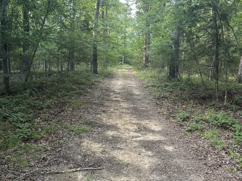 LICK FORK CREEK