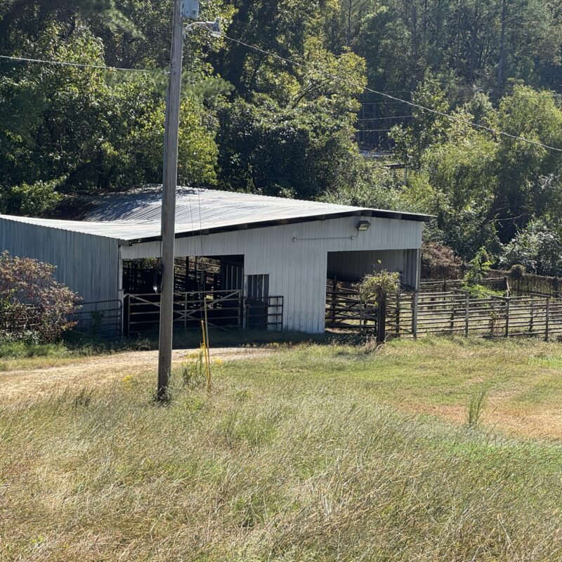 Oxford Hills 130 +/ Acres of Beautiful Rolling Pasture and Woods 4