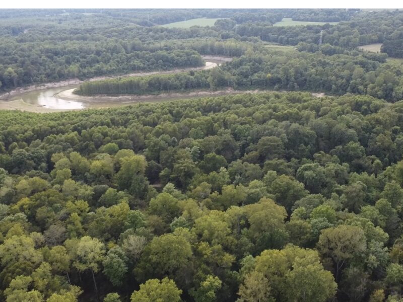 The Diet Coke Woods – Flooded Green Timber Waterfowl Hunting in Shelby County, TN