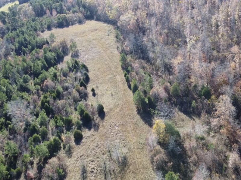 Private 48 +/- Recreational Timber and Pasture Property in Decatur County, TN