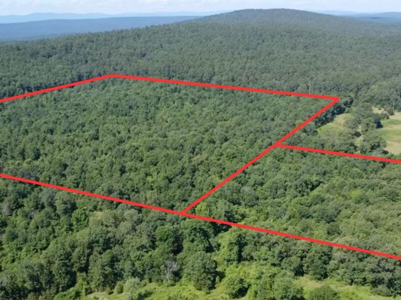Waldron 52 – Recreational & Development Potential