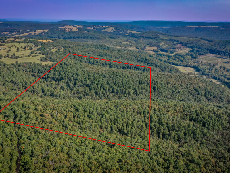 80 ACRE RECREATIONAL/HUNTING TRACT MOUNTAIN VIEW