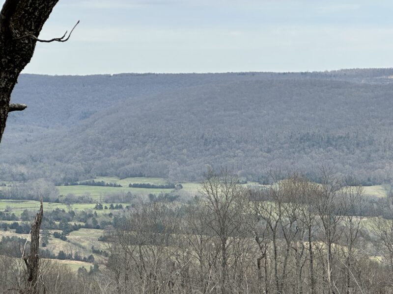 OZARK VIEW LOT – BLACK BEAR BLUFF