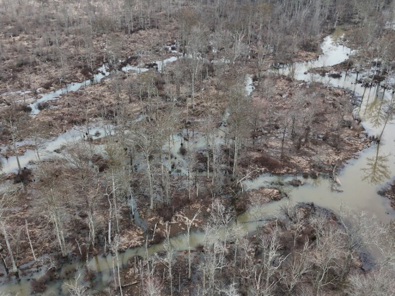 The Wolf River Farm -Benton County, MS – 297 +/- Acre Income Producing Recreational, Timber, and Farm Property Only 40 Minutes from Memphis