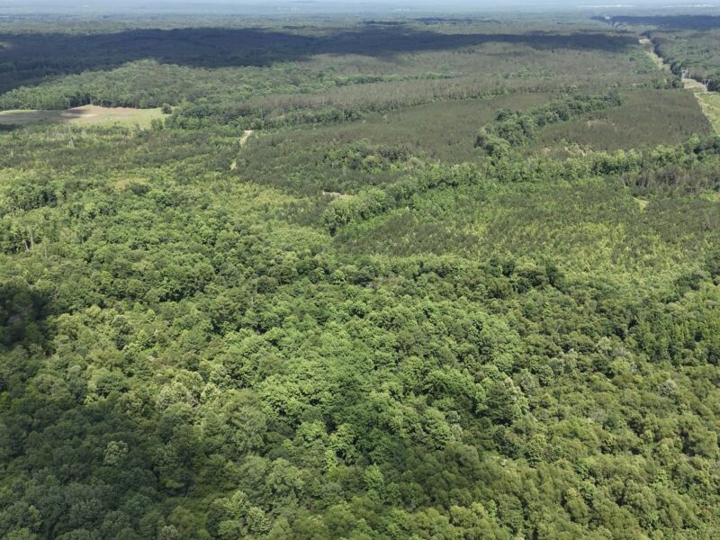 Spring Creek Farm – 318 +/- Acres on Spring Creek near Bolivar, TN