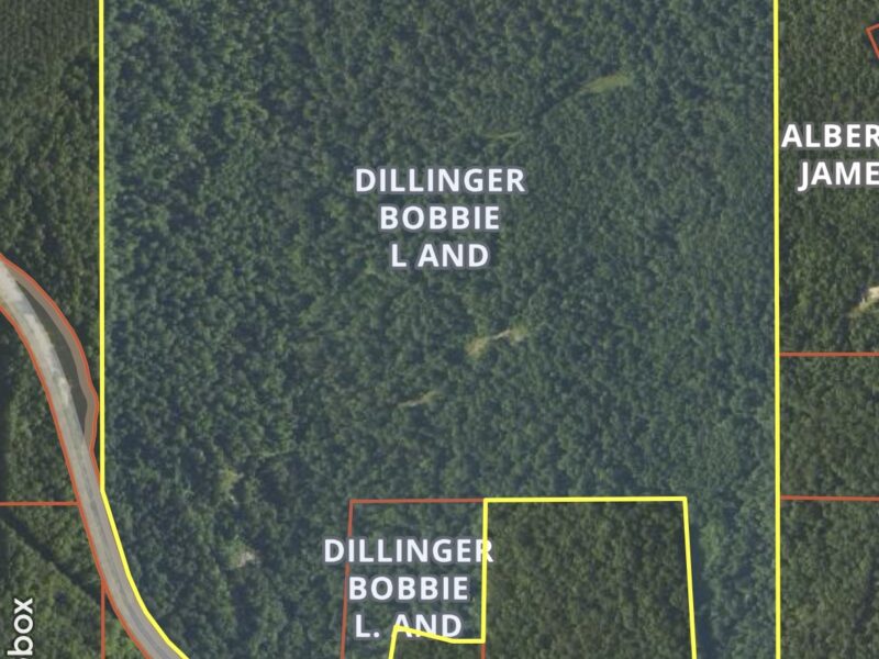 Benton County, MS – 190 +/- Acre Recreational and Timber Property