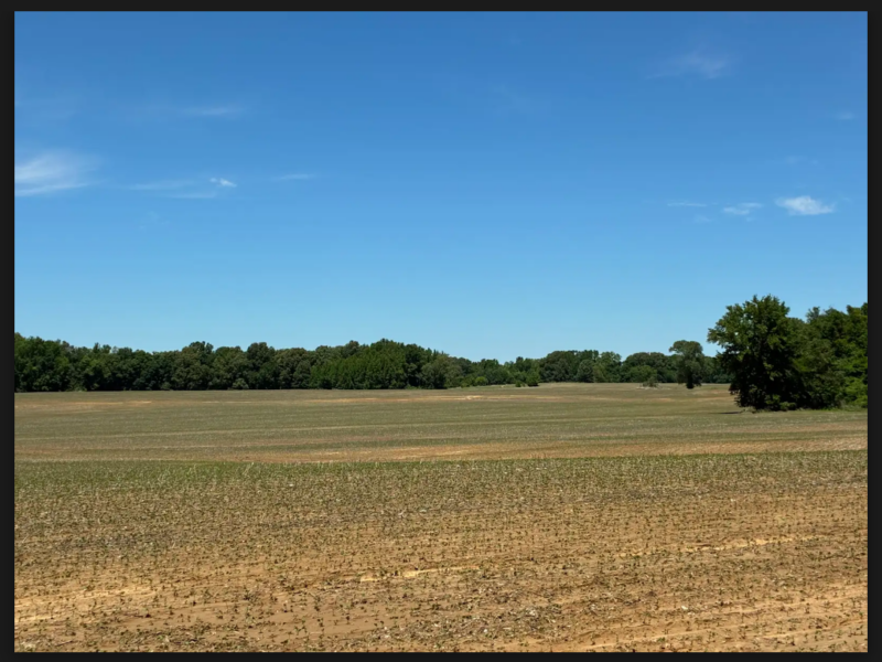 Matthews Lane Farm