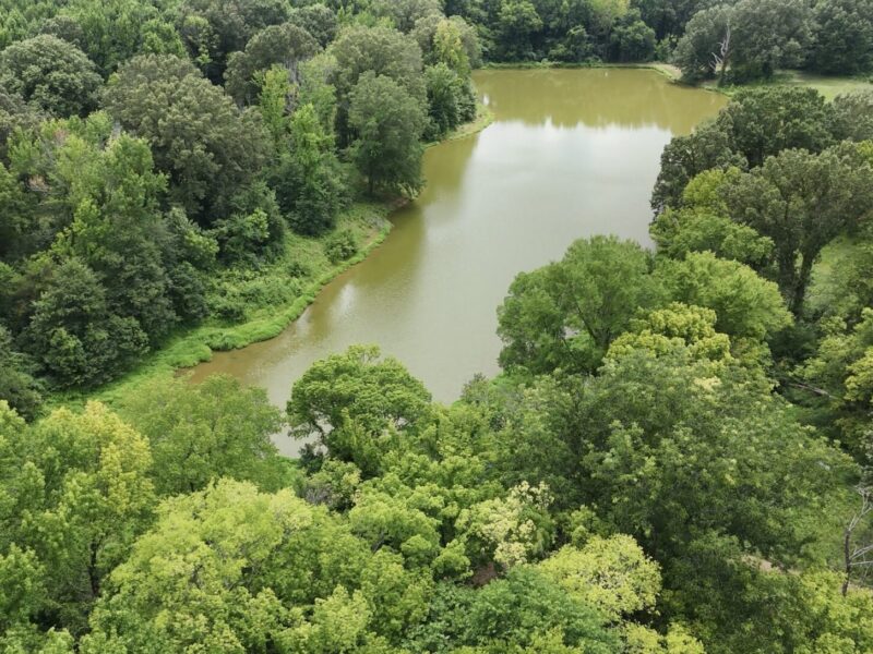 Shelby Oaks Farm – 55 +/- acres on Shelby Drive Approved for Event Venue or a Private Getaway